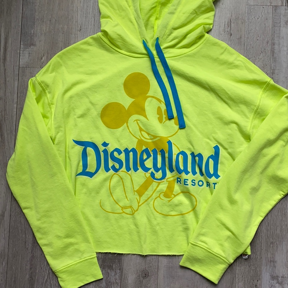 NWOT - Disneyland Crop Hoodie